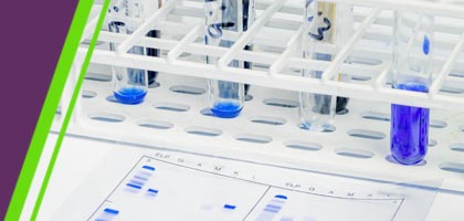 Peptide Mapping